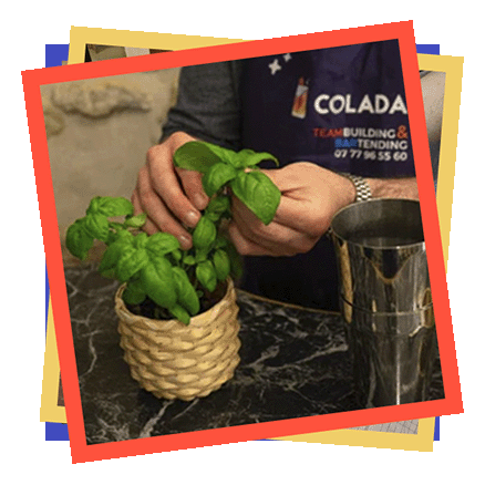 Atelier cocktail team building Colada
