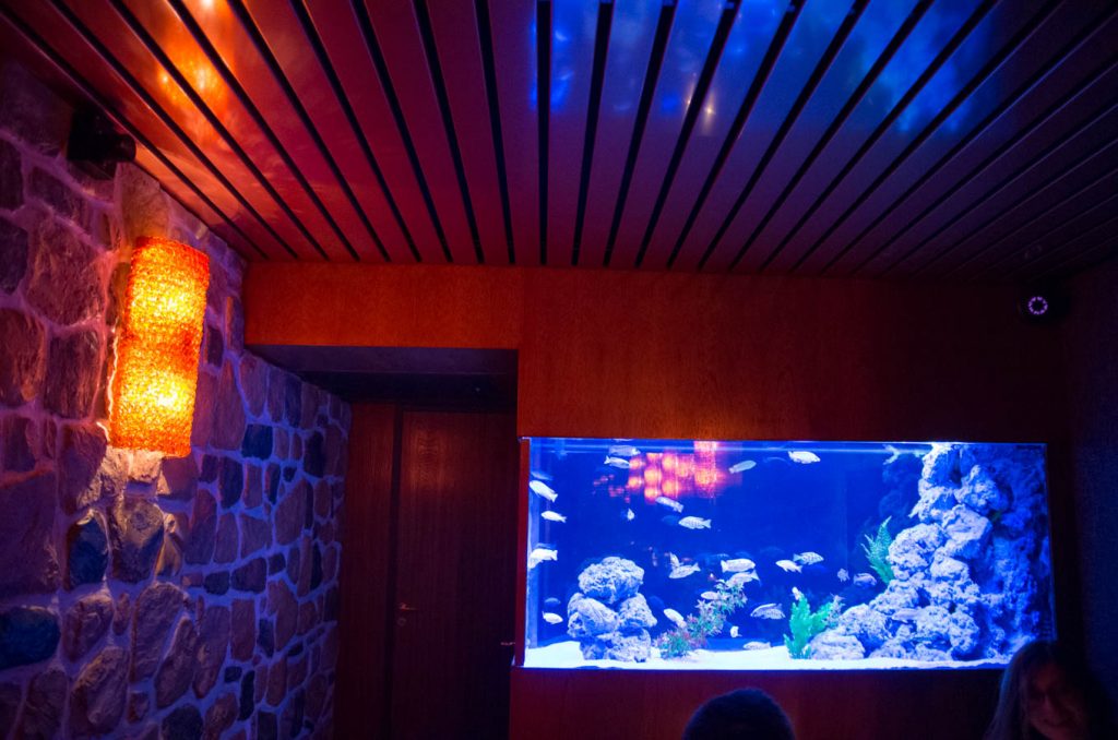 bluebird-bar-aquarium