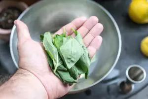 feuilles de basilic dans le cocktail de mariage