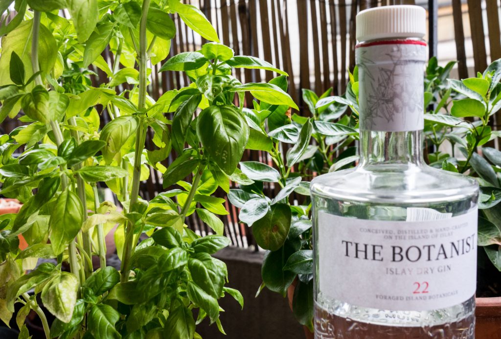 Gin et feuilles de basilic dans un cocktail le combo gagnant