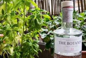 Gin et feuilles de basilic dans un cocktail le combo gagnant