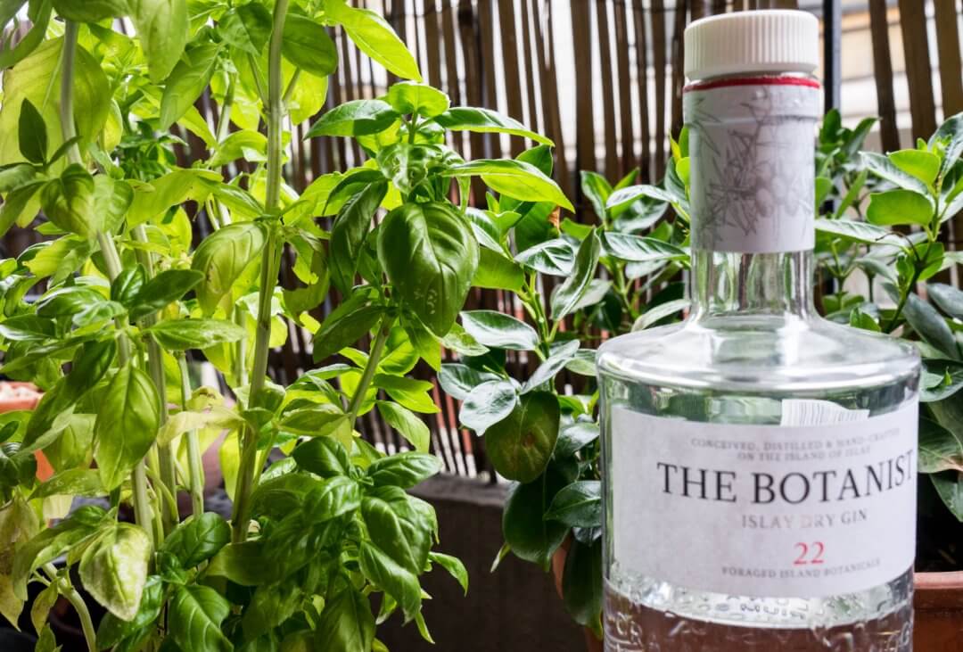 Gin et feuilles de basilic dans un cocktail le combo gagnant