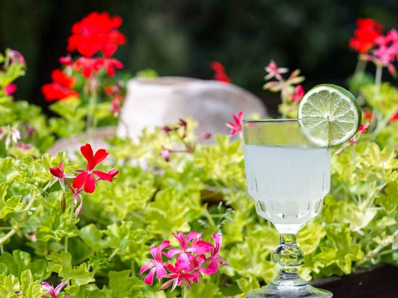 Cocktail servi dans un bar evenementiel